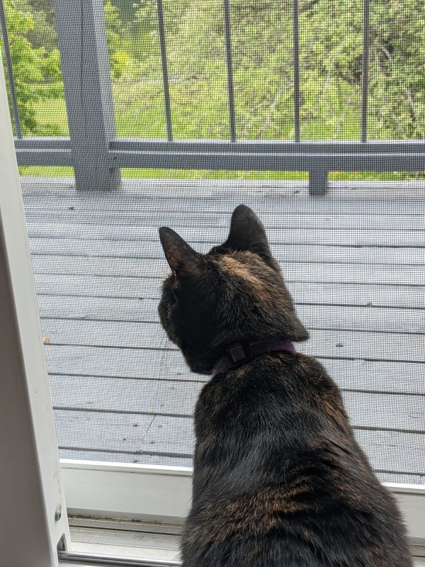 Measuring & Fit Tips