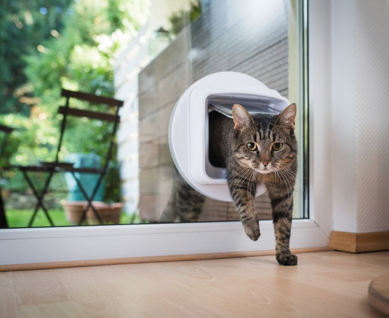 Pet Door Installation Service