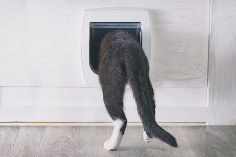 Contact About Cat Door Installation